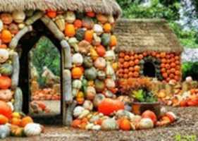 Descarga gratuita de fotos o imágenes gratuitas de Maison Citrouilles Coloquintes para editar con el editor de imágenes en línea GIMP