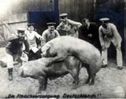 Free download Making War Rations For German Army free photo or picture to be edited with GIMP online image editor
