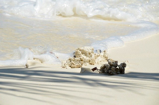 Téléchargement gratuit de la plage des Maldives - photo ou image gratuite à éditer avec l'éditeur d'images en ligne GIMP