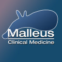 Malleus Extension  screen for extension Chrome web store in OffiDocs Chromium