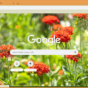 Maltese Cross  screen for extension Chrome web store in OffiDocs Chromium