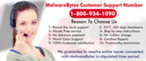 Free download Malwarebytes not updating free photo or picture to be edited with GIMP online image editor