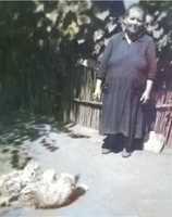 Free download mama(1) free photo or picture to be edited with GIMP online image editor