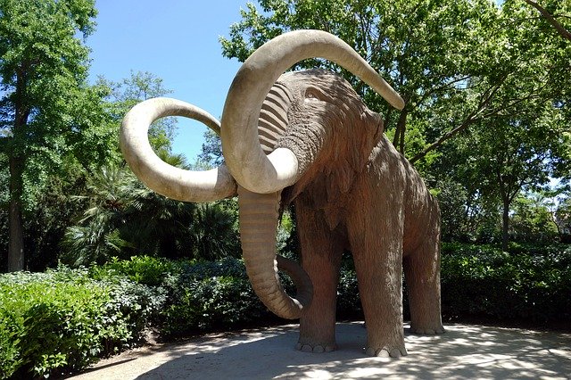 Free download Mammoth Animal Prehistoric -  free free photo or picture to be edited with GIMP online image editor