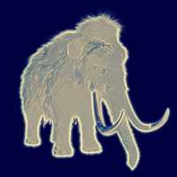 Free download mammoth free photo or picture to be edited with GIMP online image editor