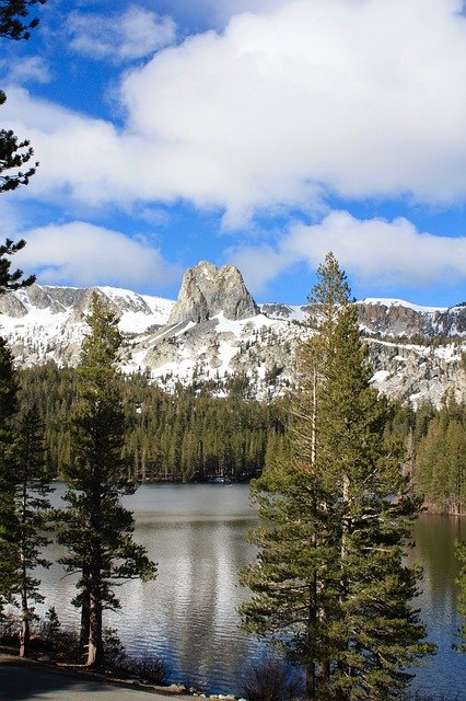 Free download Mammoth Lake Trees -  free photo or picture to be edited with GIMP online image editor