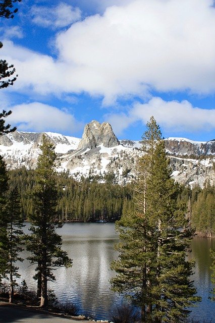 Download gratuito Mammoth Lake Trees - foto o immagine gratuita da modificare con l'editor di immagini online di GIMP