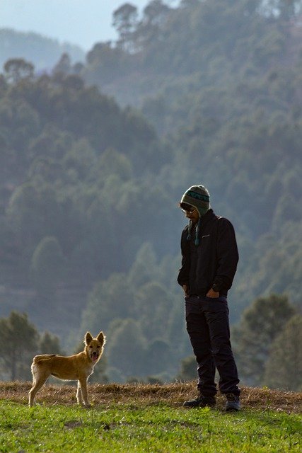 Free download man animal dog pet friendship free picture to be edited with GIMP free online image editor