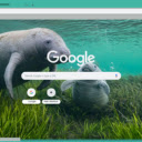 Manatee  screen for extension Chrome web store in OffiDocs Chromium