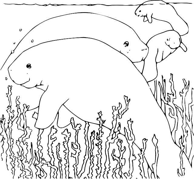 Free download Manatee Underwater Sea - Free vector graphic on Pixabay free illustration to be edited with GIMP free online image editor
