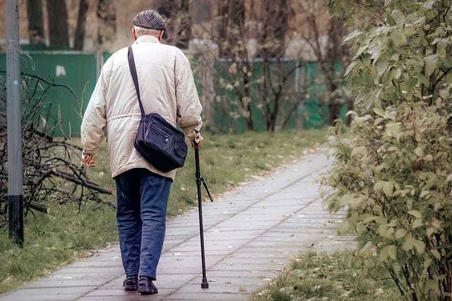 Free download man bag walking stick elderly free picture to be edited with GIMP free online image editor