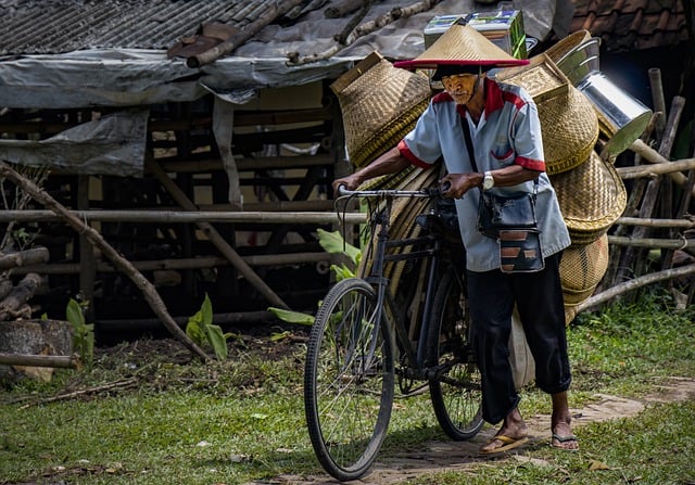 Free download man bicycle village peddler free picture to be edited with GIMP free online image editor