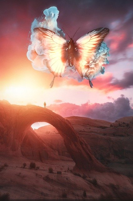 Gratis download Man Butterfly Surreal - gratis foto of afbeelding om te bewerken met GIMP online afbeeldingseditor
