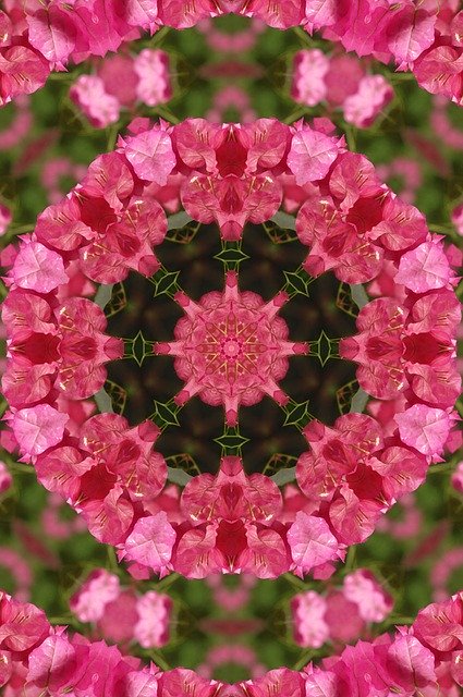 Free download Mandala Flower Floral -  free illustration to be edited with GIMP free online image editor