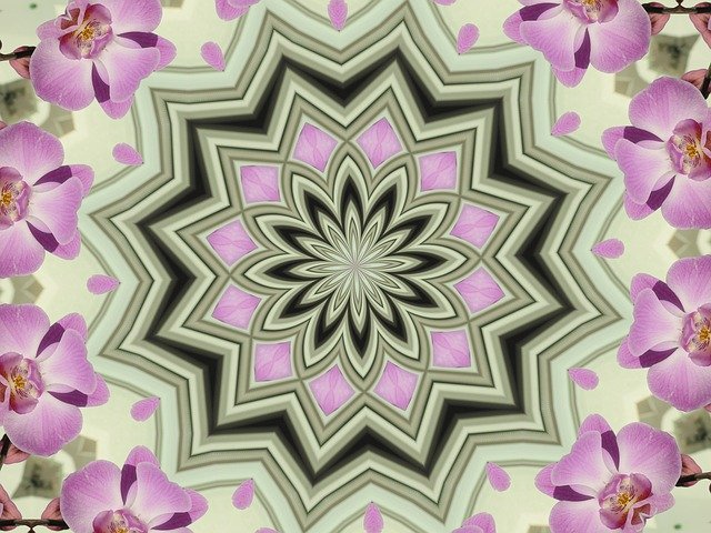 Free download Mandala Orchids Kaleidoscope -  free illustration to be edited with GIMP free online image editor