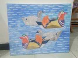 Free download Mandarin Duck free photo or picture to be edited with GIMP online image editor