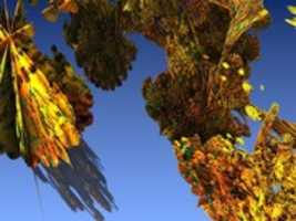 Free download Mandelbulb3D Explorations free photo or picture to be edited with GIMP online image editor