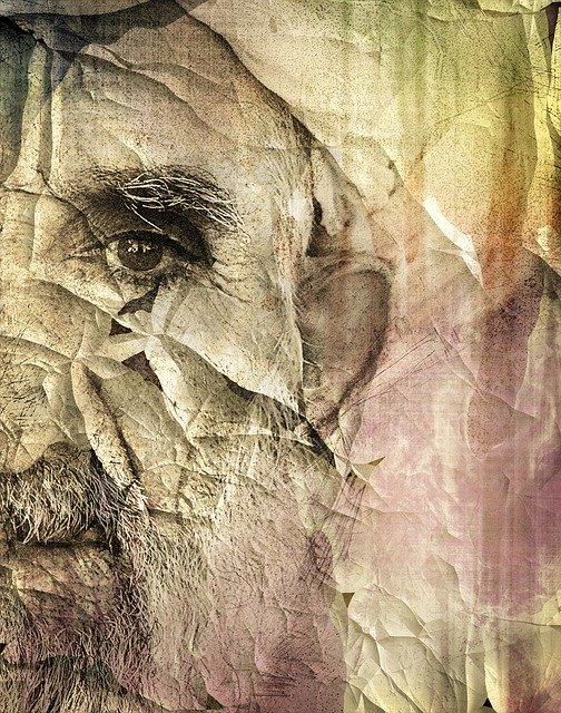 Free download Man Face Portrait -  free illustration to be edited with GIMP free online image editor