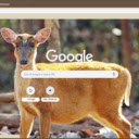 Mang  screen for extension Chrome web store in OffiDocs Chromium