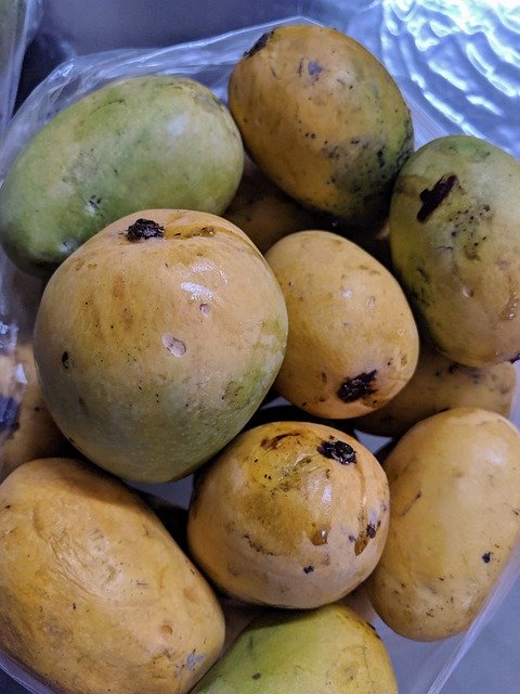 ດາວ​ໂຫຼດ​ຟຣີ Mango India Yellow - ຮູບ​ພາບ​ຟຣີ​ຫຼື​ຮູບ​ພາບ​ທີ່​ຈະ​ໄດ້​ຮັບ​ການ​ແກ້​ໄຂ​ກັບ GIMP ອອນ​ໄລ​ນ​໌​ບັນ​ນາ​ທິ​ການ​ຮູບ​ພາບ​