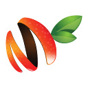 MangoSigns Chrome Player  screen for extension Chrome web store in OffiDocs Chromium