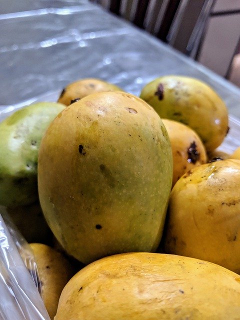 Free download Mango Summer Fruit -  free photo or picture to be edited with GIMP online image editor