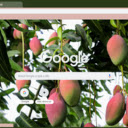 Mango Tree  screen for extension Chrome web store in OffiDocs Chromium