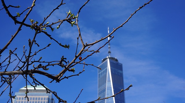 Free download manhattan wtc usa architecture nyc free picture to be edited with GIMP free online image editor