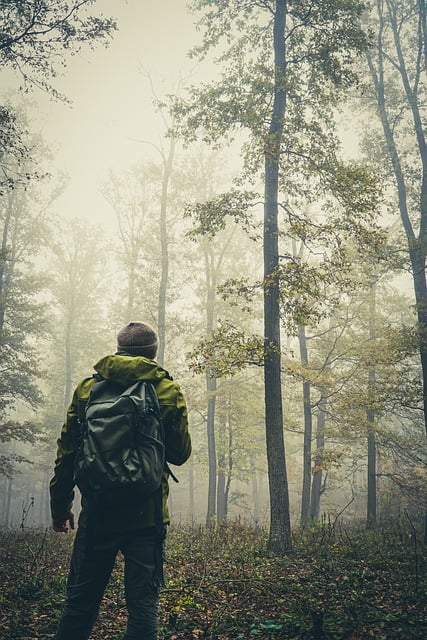 Free download man hiking forest fog trees free picture to be edited with GIMP free online image editor