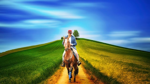 Free download man horse field slope rider free picture to be edited with GIMP free online image editor