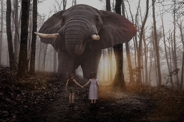 Free download Manipulation Animal Elephant -  free photo or picture to be edited with GIMP online image editor