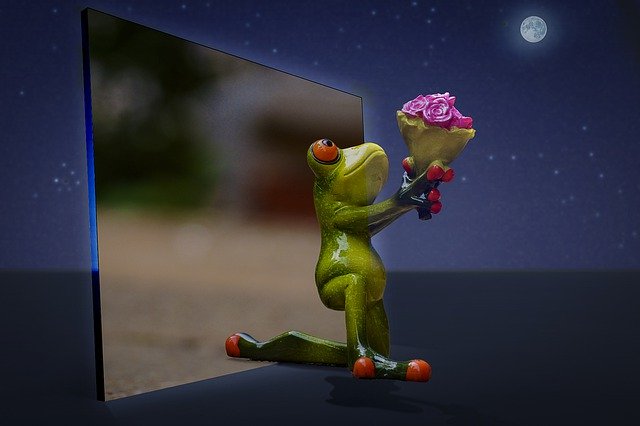 تحميل مجاني Manipulation Frog I Beg Your - صورة مجانية أو صورة يتم تحريرها باستخدام محرر الصور عبر الإنترنت GIMP