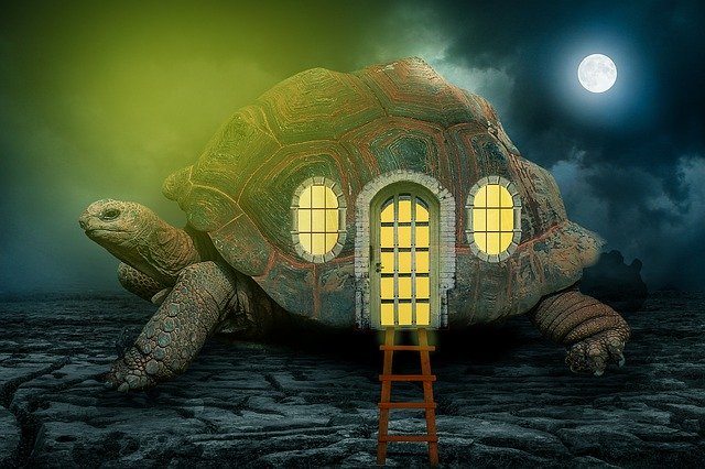 Unduh gratis Manipulation Turtle Tortoise - foto atau gambar gratis untuk diedit dengan editor gambar online GIMP