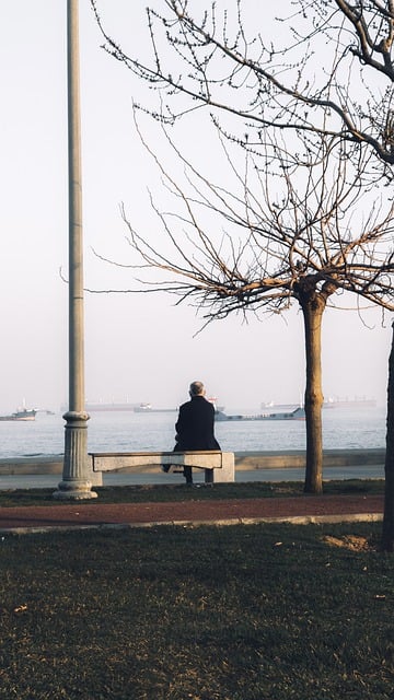 Free download man sitting bench elderly light free picture to be edited with GIMP free online image editor