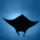 Manta Ray  screen for extension Chrome web store in OffiDocs Chromium