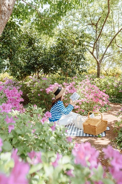 Free download man tree flower plant gwangju free picture to be edited with GIMP free online image editor