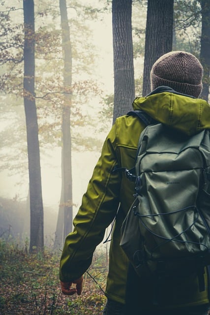 Free download man trees forest hiking fog free picture to be edited with GIMP free online image editor