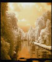 Free download MANU 6 free photo or picture to be edited with GIMP online image editor