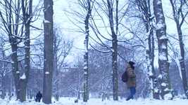 Free download Man Walking Snow -  free video to be edited with OpenShot online video editor