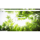 maple  screen for extension Chrome web store in OffiDocs Chromium