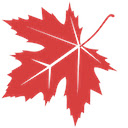 Maple NewTab  screen for extension Chrome web store in OffiDocs Chromium