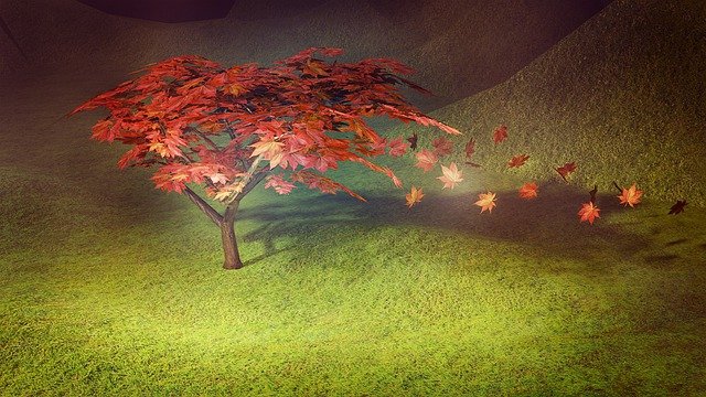 Free download maple tree autumn shrub bonsai 3d free picture to be edited with GIMP free online image editor