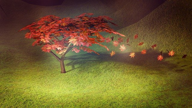 Free download maple tree autumn shrub bonsai 3d free picture to be edited with GIMP free online image editor