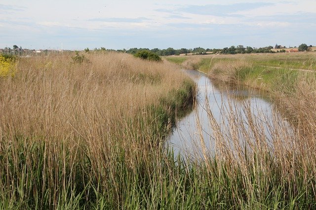 Descarga gratuita Marais Poitevin Marsh River: foto o imagen gratuita para editar con el editor de imágenes en línea GIMP