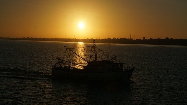 Téléchargement gratuit de l'île de Marajó au Brésil - photo ou image gratuite à éditer avec l'éditeur d'images en ligne GIMP