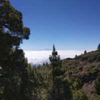 Free download Mar de nubes en Canarias. free photo or picture to be edited with GIMP online image editor