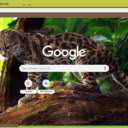 Margay  screen for extension Chrome web store in OffiDocs Chromium