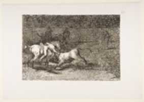 Free download Mariano Ceballos, Alias the Indian, Kills the Bull from His Horse (Mariano Ceballos, alias el Indio, mata el toro desde su caballo) free photo or picture to be edited with GIMP online image editor