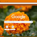 Marigold  screen for extension Chrome web store in OffiDocs Chromium