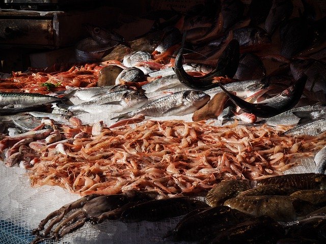 دانلود رایگان Market Fish Catania - عکس یا عکس رایگان رایگان برای ویرایش با ویرایشگر تصویر آنلاین GIMP